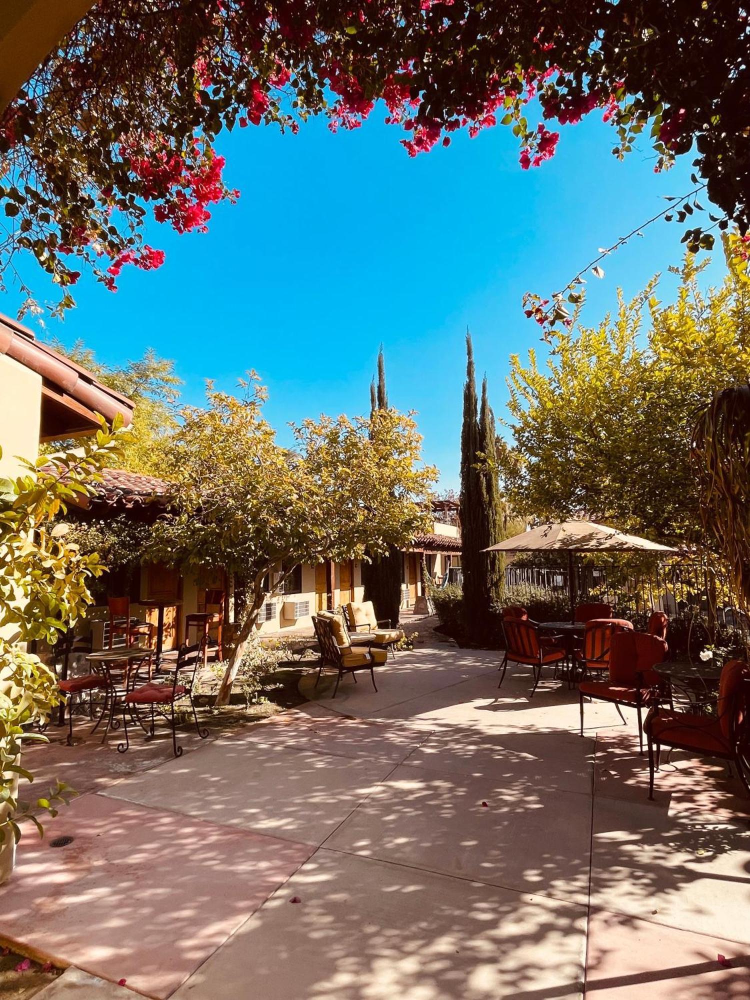 פאלם ספרינגס Los Arboles Hotel מראה חיצוני תמונה
